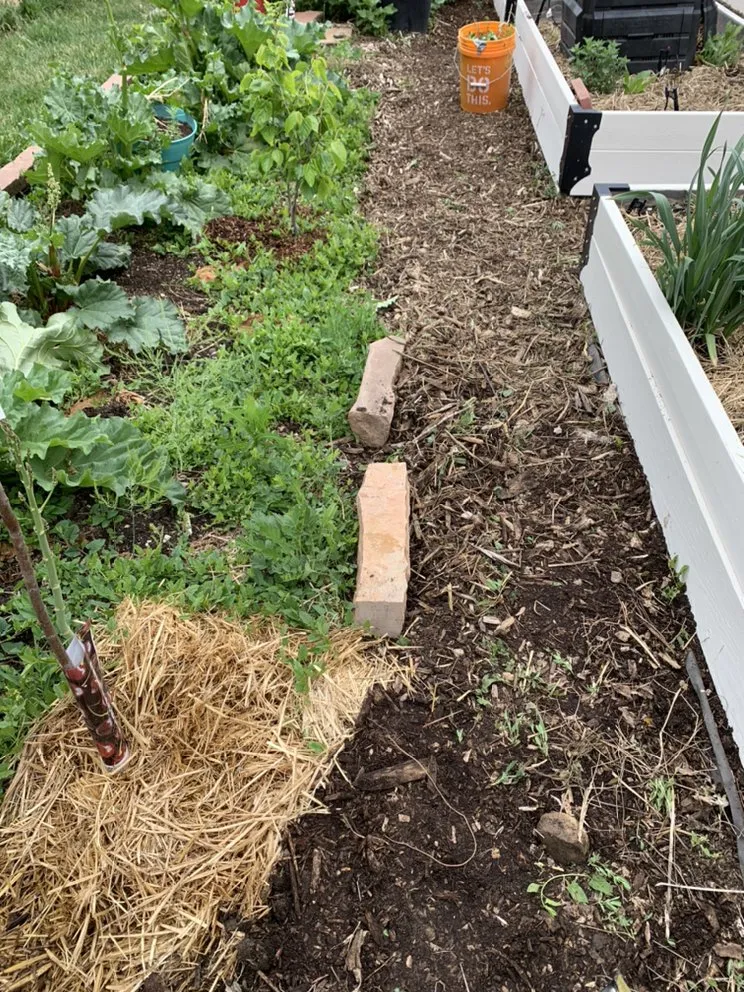 Local residential landscaping experts serving Evans, CO - Ohana Landscaping and Maintenances