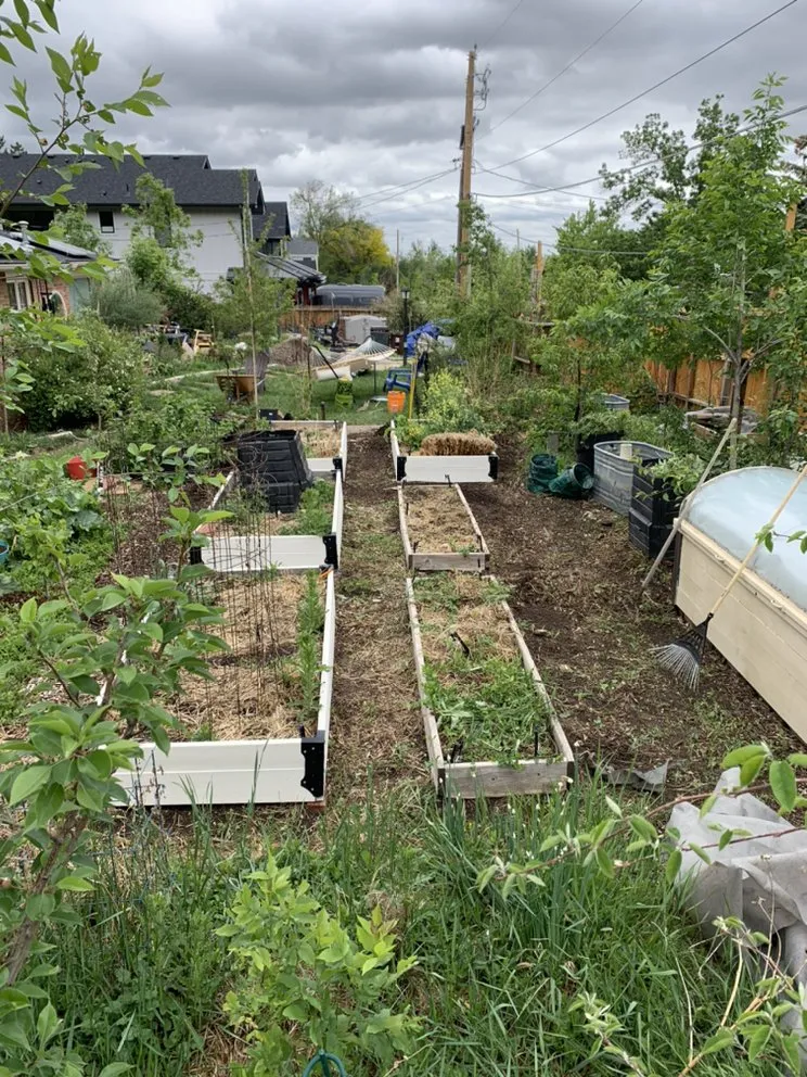 Local lawn mowing service in Evans, CO by Ohana Landscaping and Maintenances