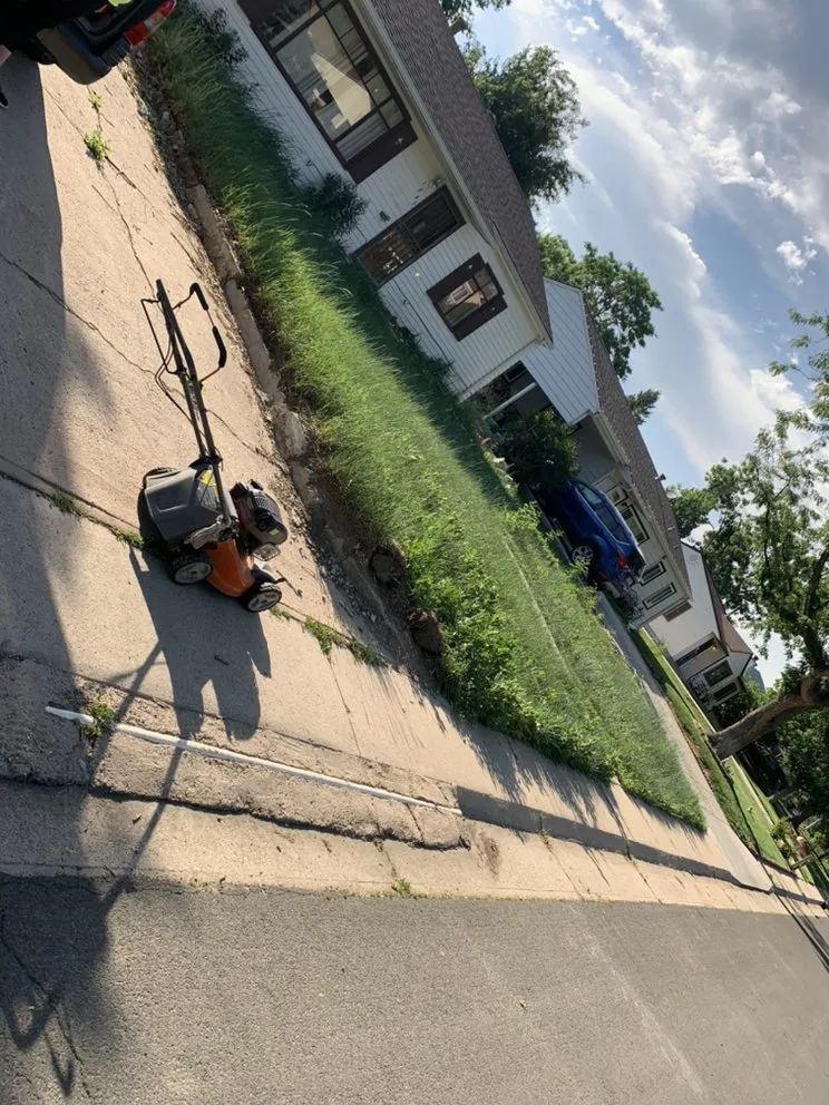 Expert landscaping services for outdoor upgrades in Evans, CO by Ohana Landscaping and Maintenances