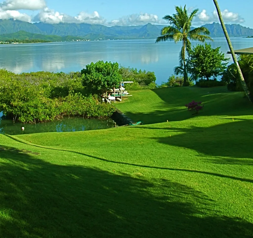 Top-rated landscaping services in Kaneohe, HI - Ohana Lawn Service