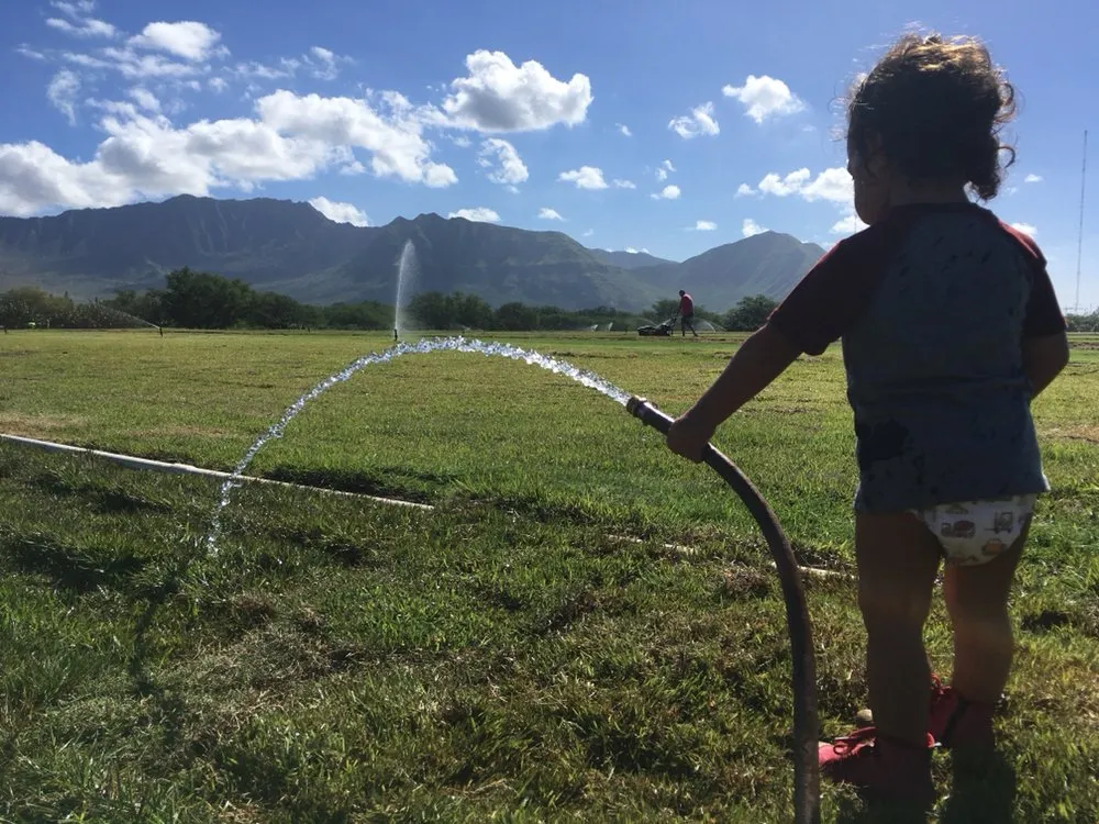 Local garden landscaping near you in Mililani, HI by Ohana Sod