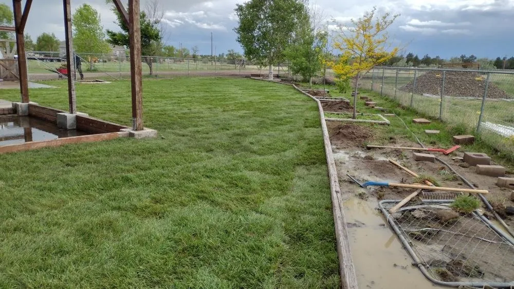 Professional yard cleanup service experts serving Colorado Springs, CO - O'Hanley Enterprises