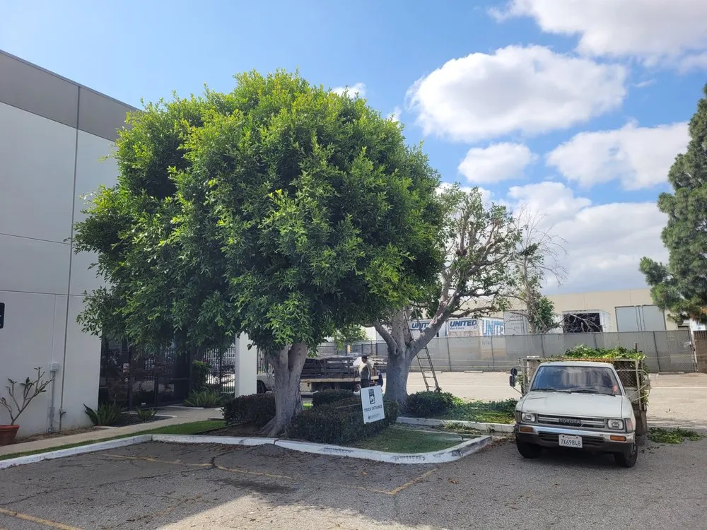 Trusted landscape design in Westminster, CA by Ohara And Sons Landscaping