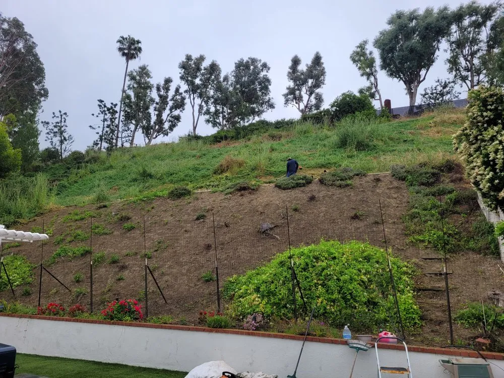 Professional yard cleanup service in Westminster, CA - Ohara And Sons Landscaping