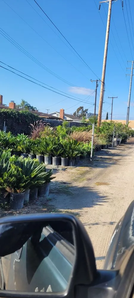 Affordable landscape design in Westminster, CA by Ohara And Sons Landscaping