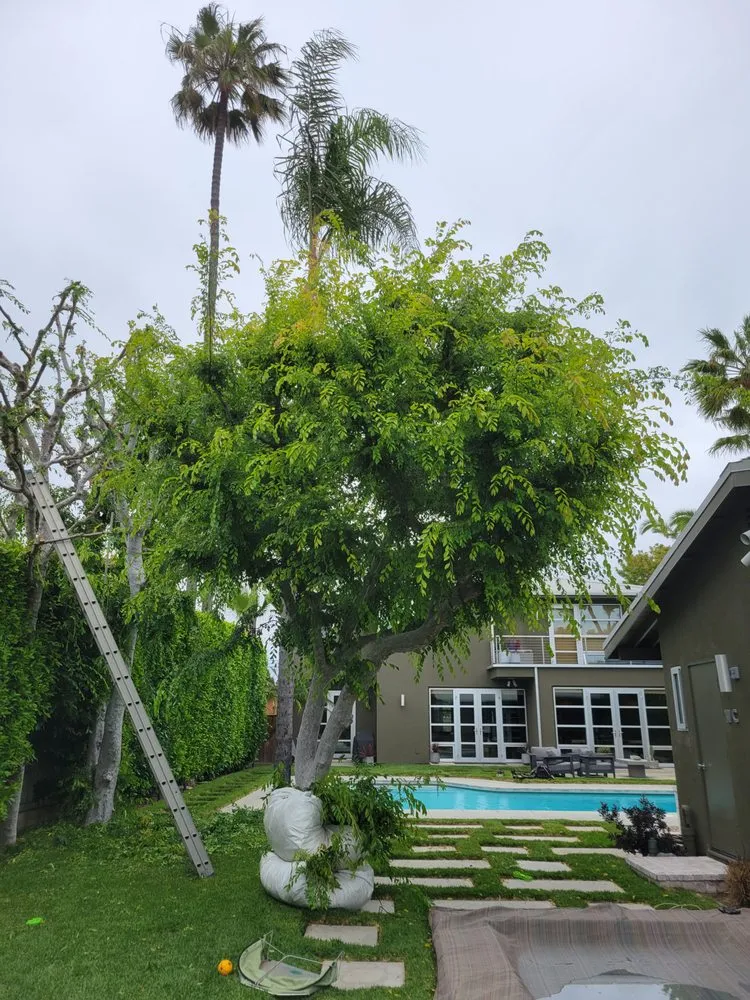 Local lawn mowing service near you in Westminster, CA by Ohara And Sons Landscaping