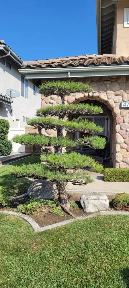 Professional garden landscaping with custom design across Westminster, CA - Ohara And Sons Landscaping