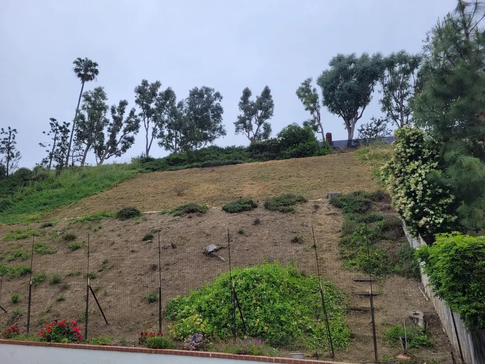 Affordable lawn care service in Westminster, CA by Ohara And Sons Landscaping