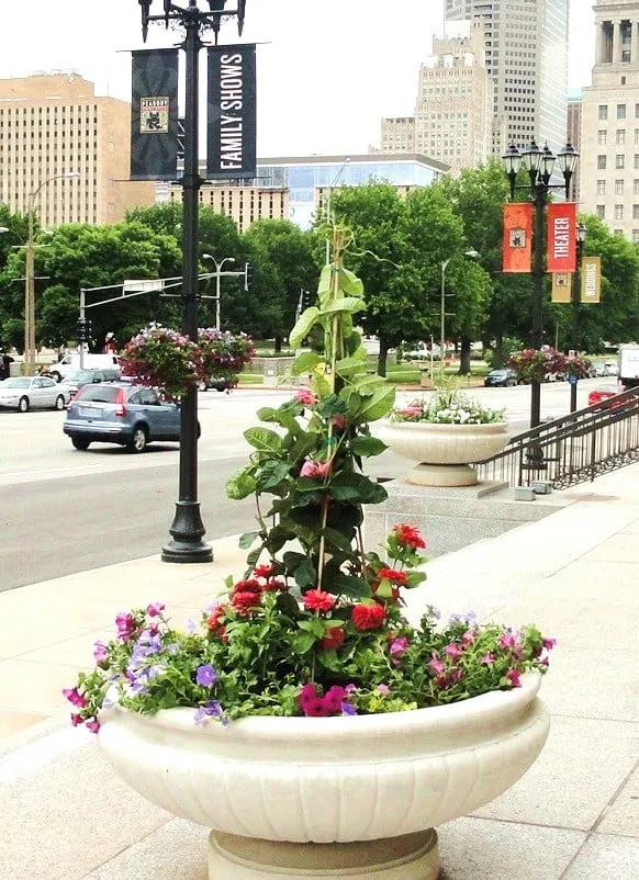 Trusted landscape design in Saint Louis, MO - O'Hara Landscape/Lawn Care