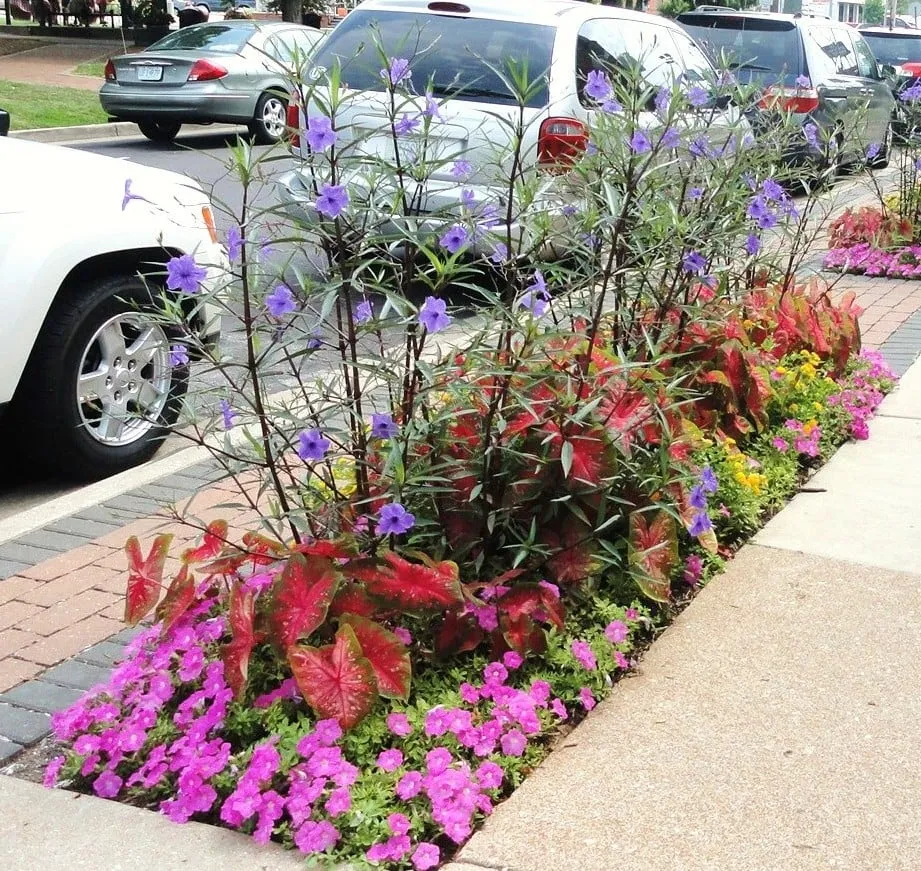 Expert landscaping services with custom design across Saint Louis, MO - O'Hara Landscape/Lawn Care