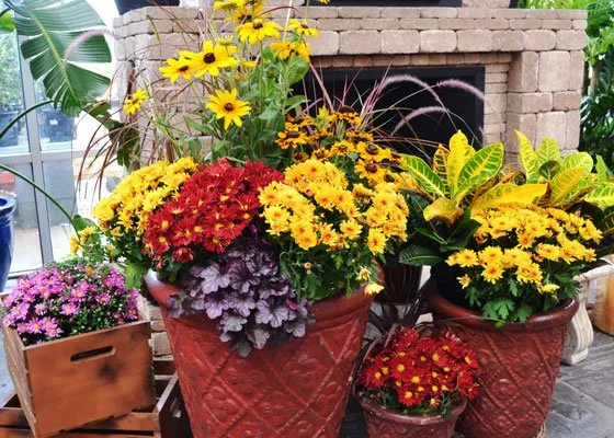 Affordable yard cleanup service in Saint Louis, MO - O'Hara Landscape/Lawn Care