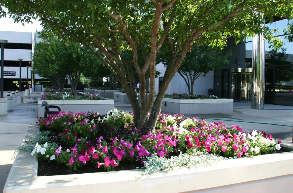 Reliable landscaping services in Saint Louis, MO by O'Hara Landscape/Lawn Care
