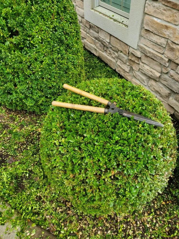 Custom residential landscaping for beautiful yards in Dalton, PA by O'Hara Landscaping