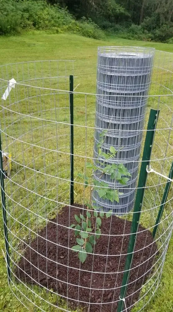 Reliable lawn mowing service in Dalton, PA by O'Hara Landscaping