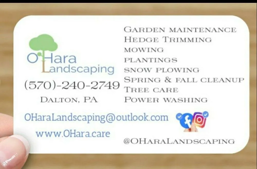 Top-rated yard cleanup service for year-round maintenance across Dalton, PA - O'Hara Landscaping