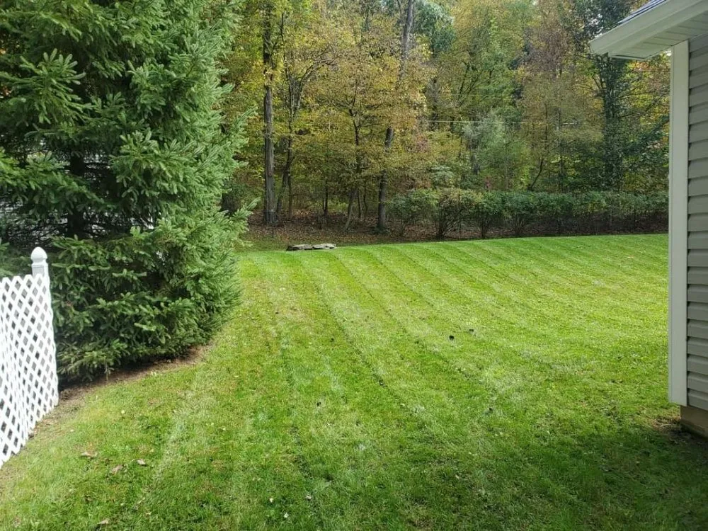 Affordable landscape installation with custom design in Dalton, PA by O'Hara Landscaping