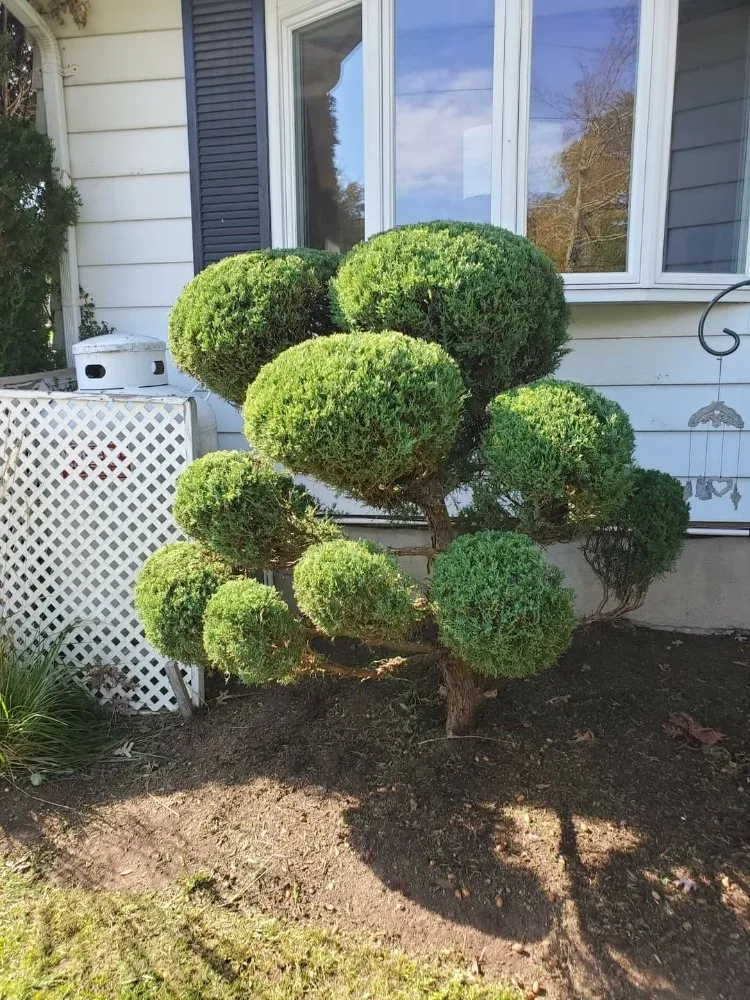 Local lawn mowing service for homes across Dalton, PA - O'Hara Landscaping