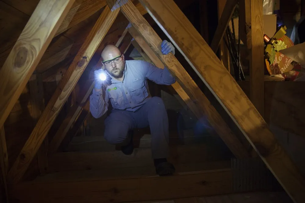 Top-rated outdoor landscaping for homes in West Palm Beach, FL by O'Hara Pest Control