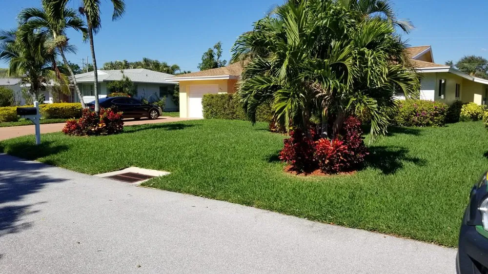 Professional yard cleanup service for residential properties across West Palm Beach, FL - O'Hara Pest Control