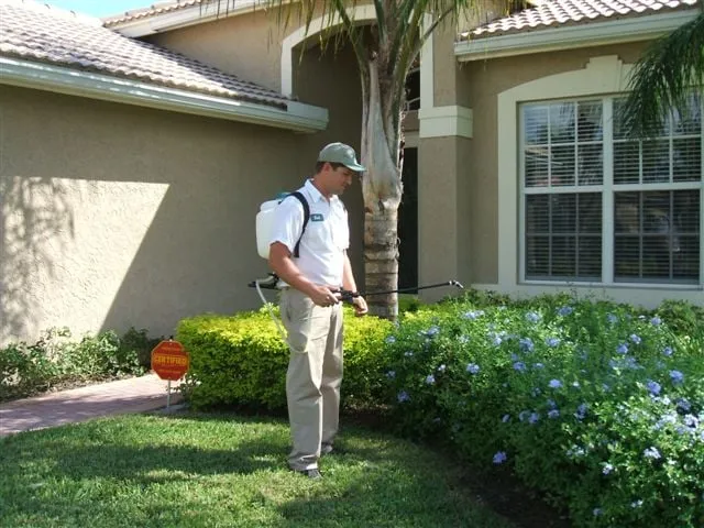 Expert yard cleanup service in West Palm Beach, FL - O'Hara Pest Control