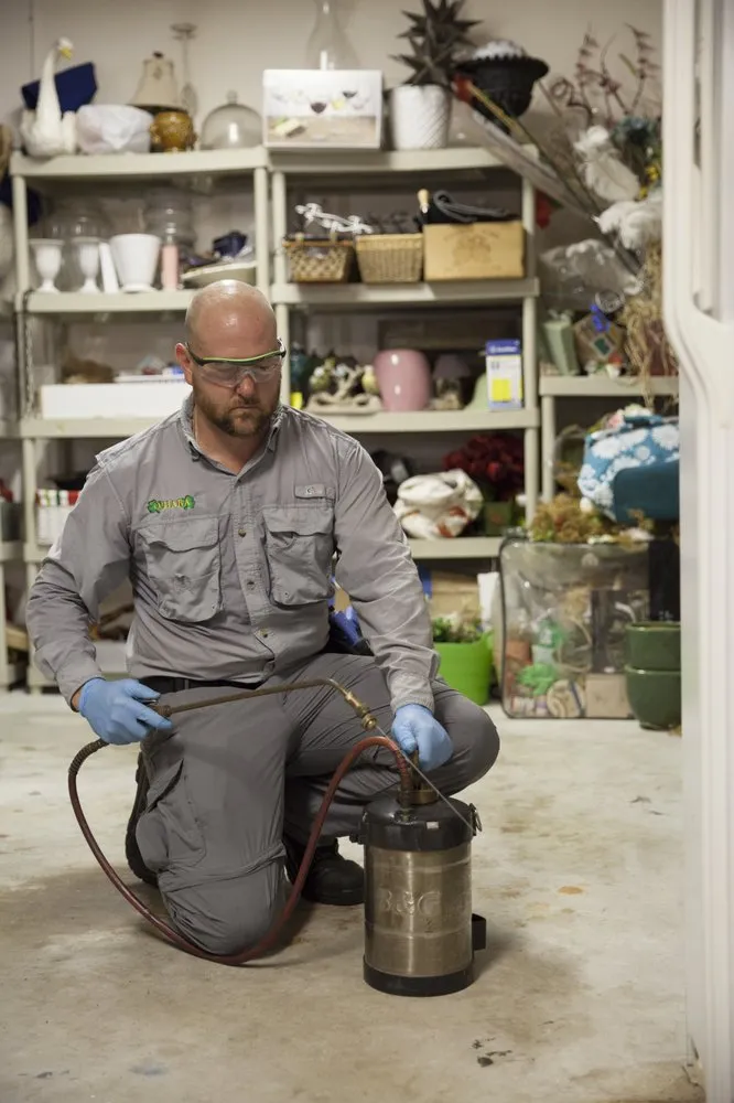 Reliable residential landscaping for year-round maintenance across West Palm Beach, FL - O'Hara Pest Control