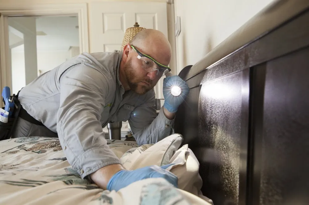 Affordable outdoor landscaping in West Palm Beach, FL by O'Hara Pest Control