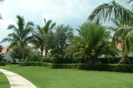 Top-rated landscape installation in West Palm Beach, FL - O'Hara Sprinkler