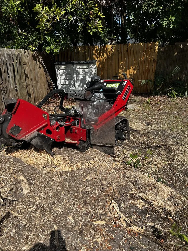 Affordable residential landscaping experts serving Sarasota, FL - Oharas Tree And Lawn Care