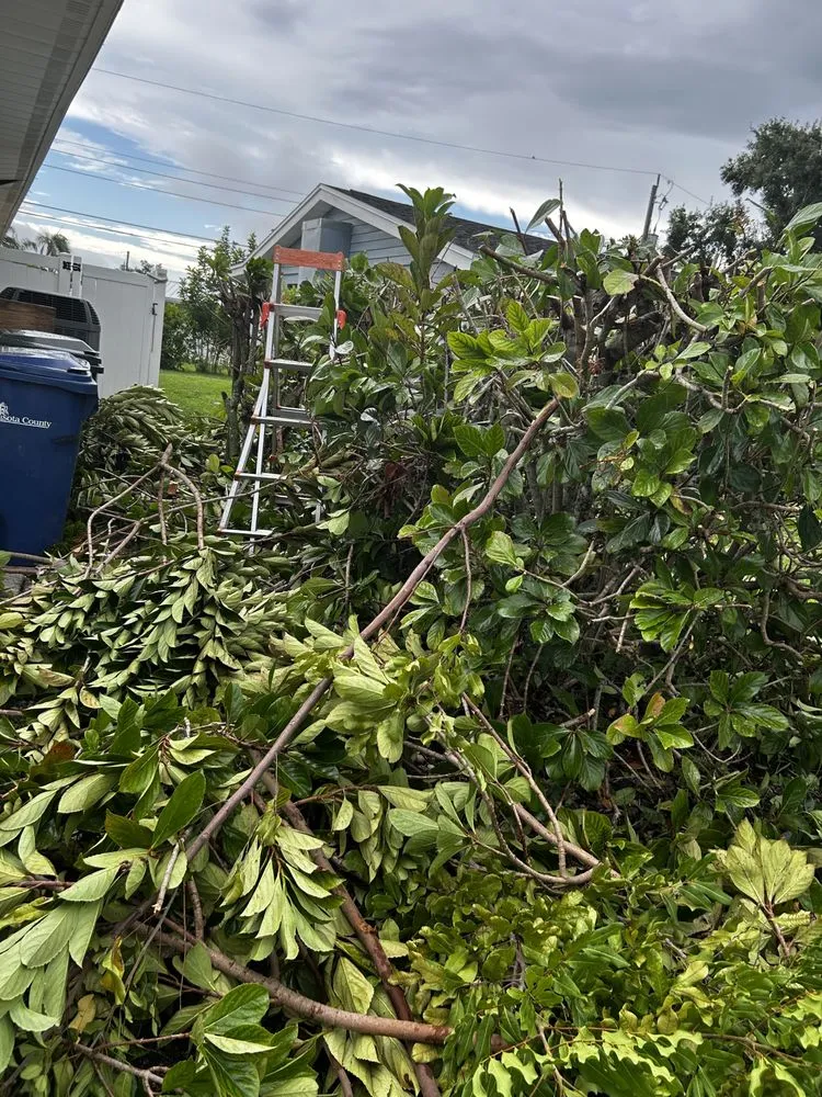 Local landscape design in Sarasota, FL by Oharas Tree And Lawn Care