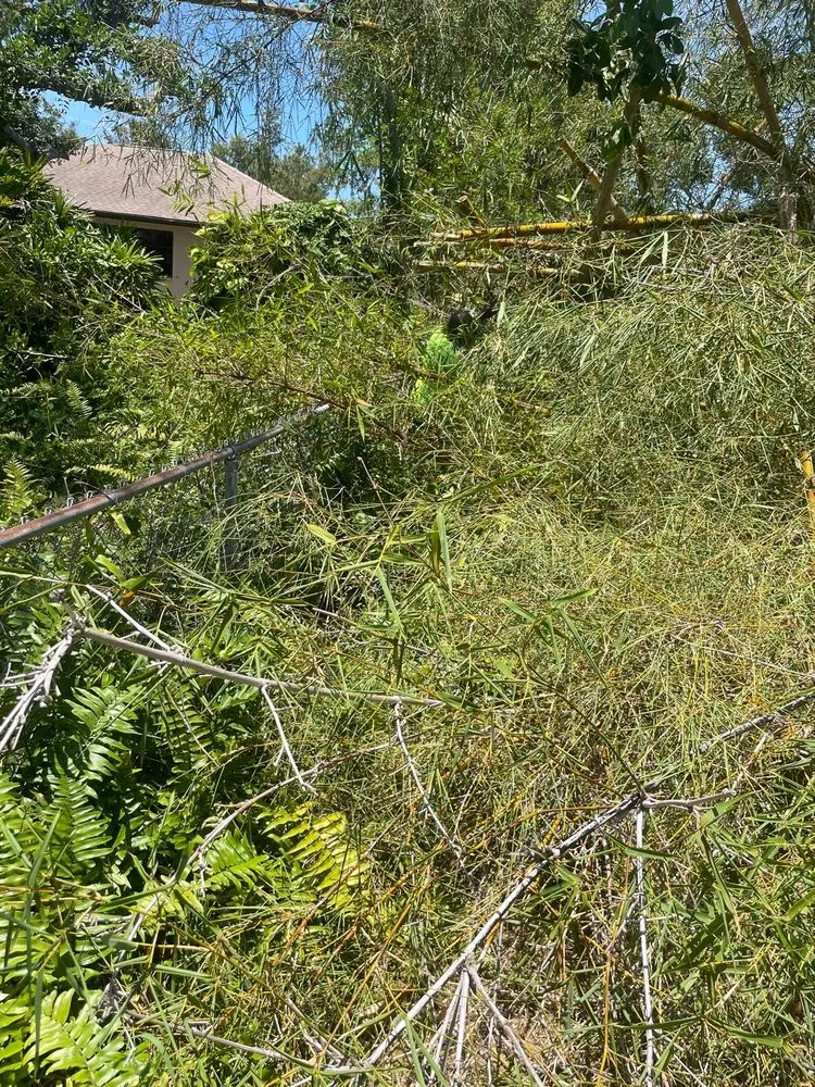 Local landscape installation in Sarasota, FL by Oharas Tree And Lawn Care