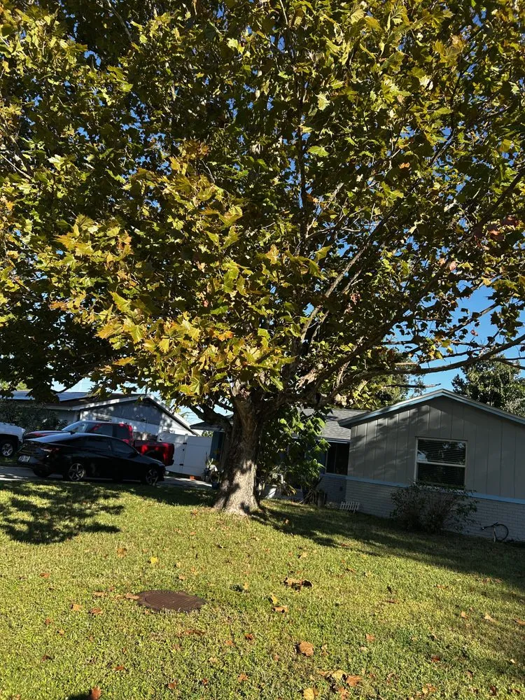 Affordable landscaping services experts serving Sarasota, FL - Oharas Tree And Lawn Care