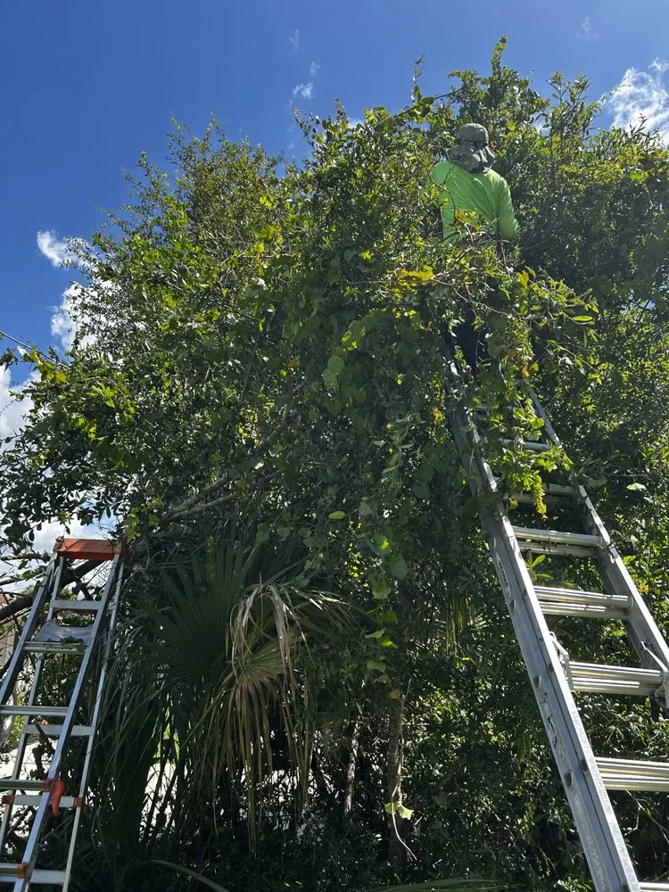 Local residential landscaping in Sarasota, FL - Oharas Tree And Lawn Care
