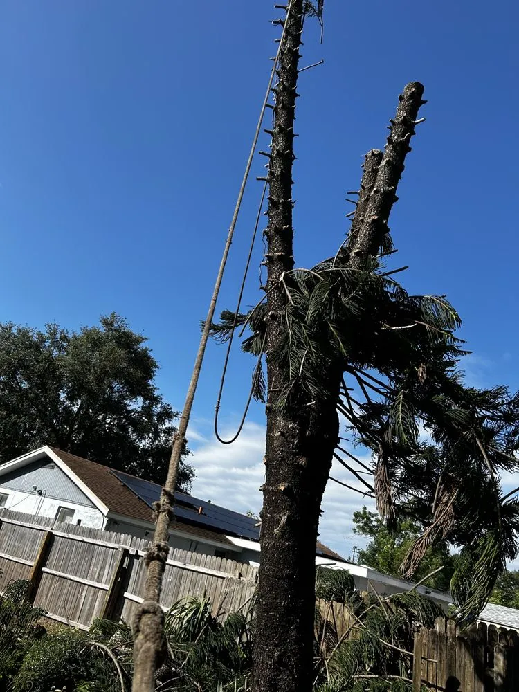 Expert garden landscaping for homes across Sarasota, FL - Oharas Tree And Lawn Care