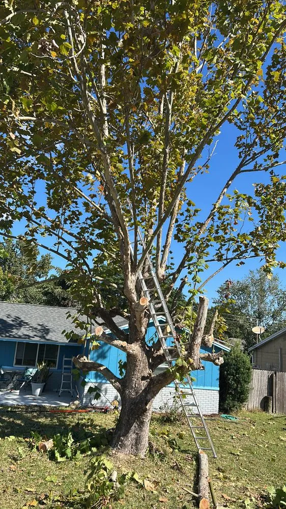 Top-rated garden landscaping experts serving Sarasota, FL - Oharas Tree And Lawn Care