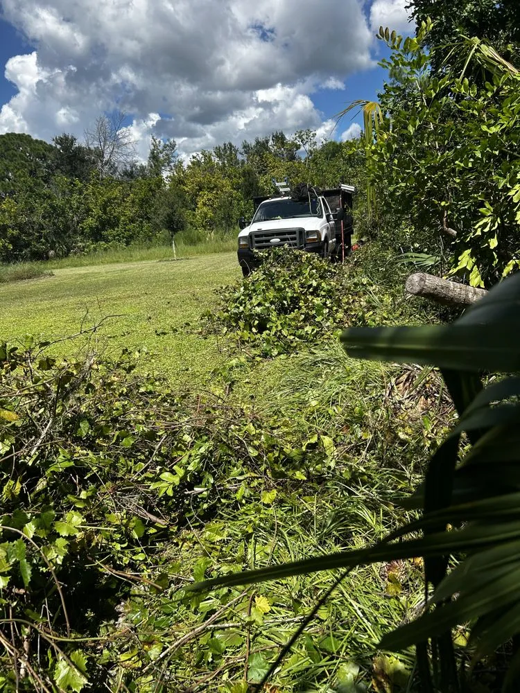 Local landscaping services in Sarasota, FL - Oharas Tree And Lawn Care