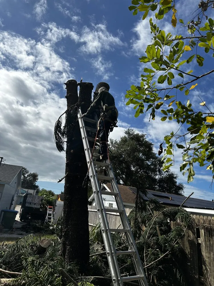 Reliable yard maintenance in Sarasota, FL - Oharas Tree And Lawn Care