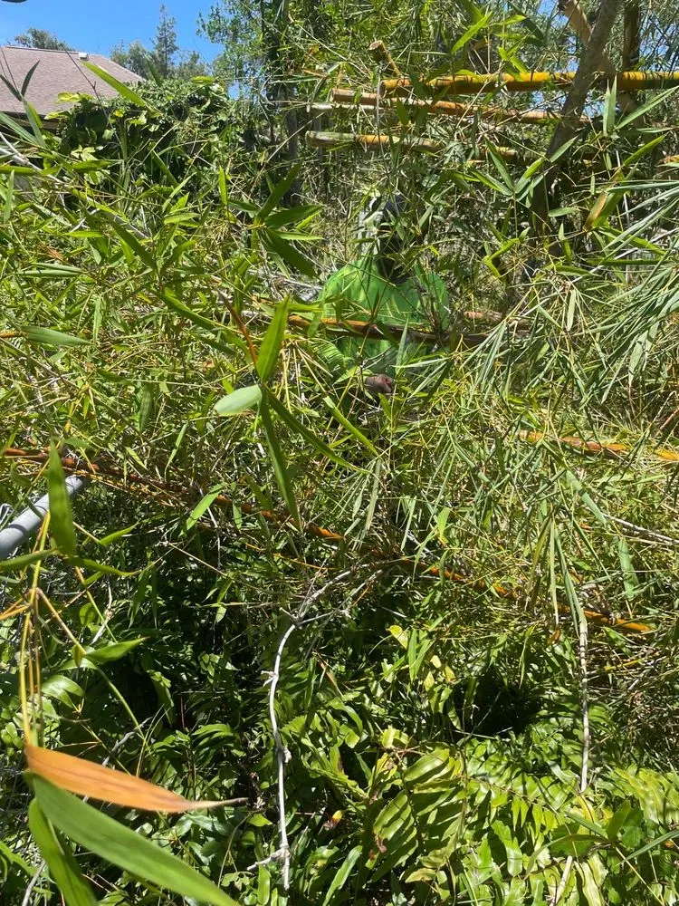 Expert residential landscaping with custom design in Sarasota, FL by Oharas Tree And Lawn Care