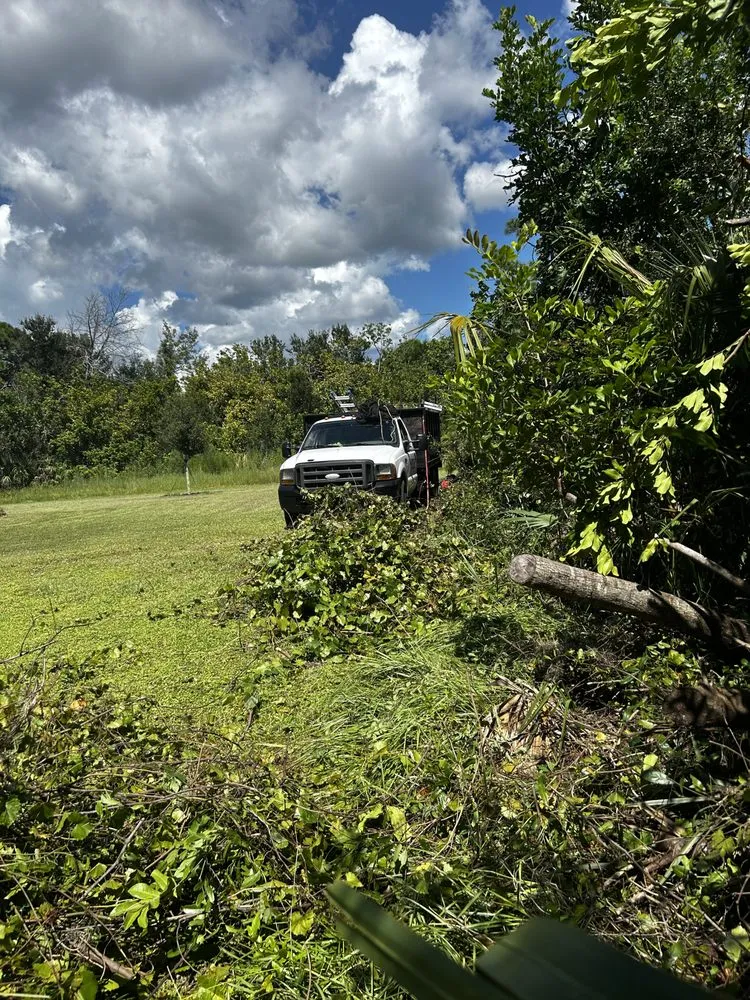 Custom landscape design experts serving Sarasota, FL - Oharas Tree And Lawn Care
