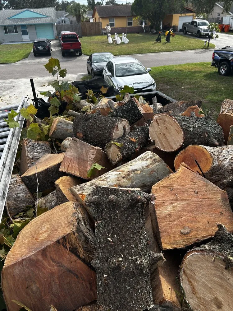 Affordable outdoor landscaping for homes across Sarasota, FL - Oharas Tree And Lawn Care