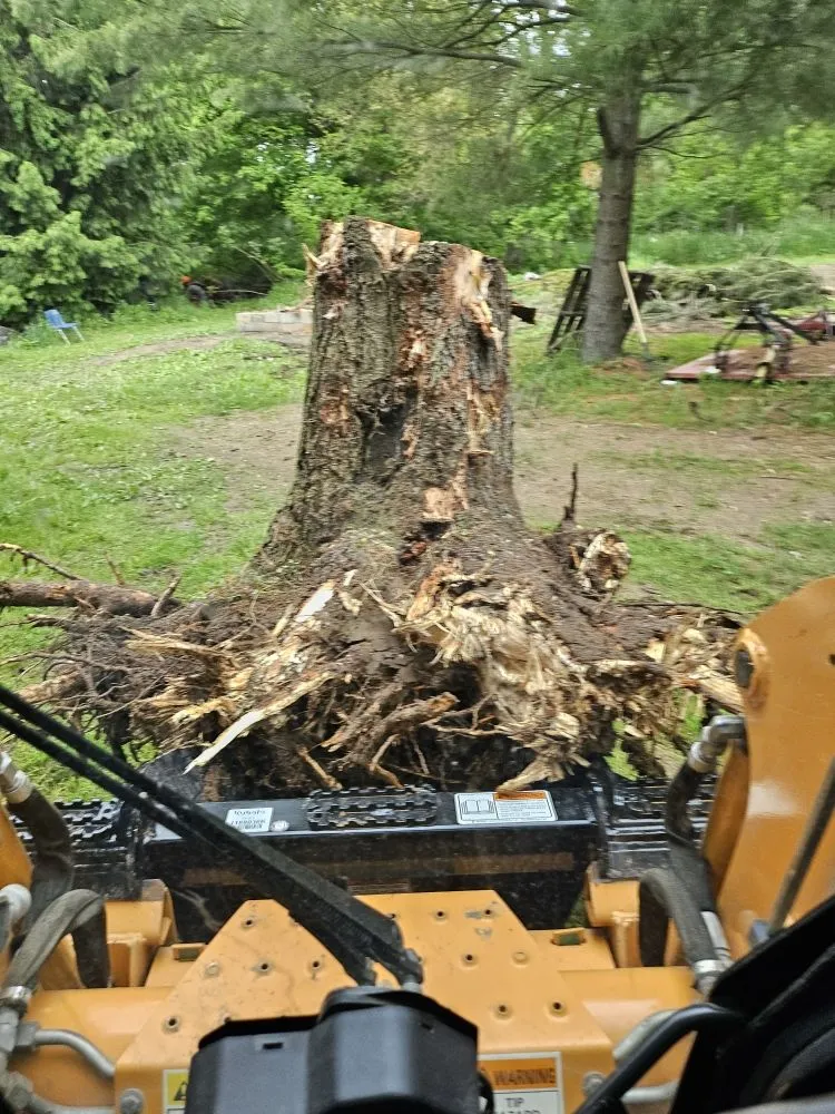 Affordable residential landscaping in Albion, MI by O'Hearon Timber and Land management