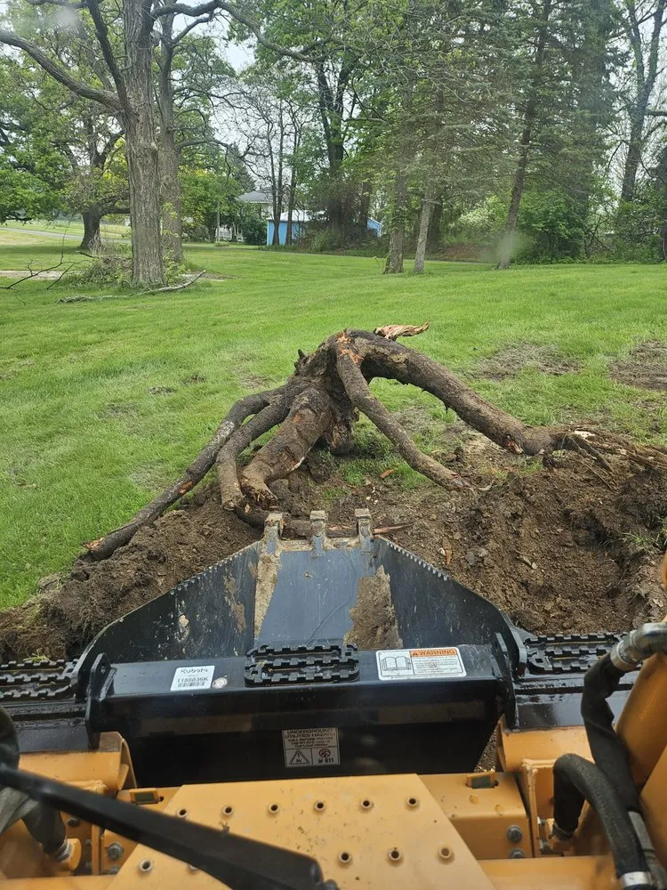 Custom landscaping services for homes across Albion, MI - O'Hearon Timber and Land management