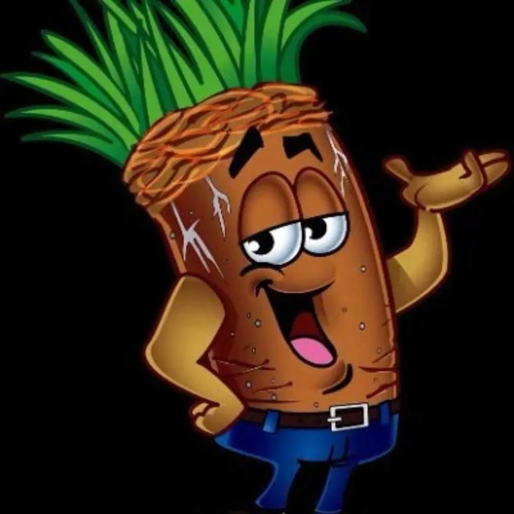 Local lawn care service for year-round maintenance across Cleveland, OH - Ohio Areation Of Cleveland Inc