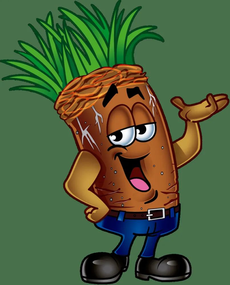 Reliable lawn mowing service in Cleveland, OH by Ohio Areation Of Cleveland Inc