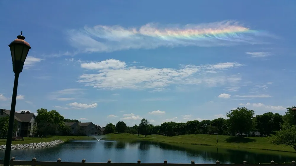 Expert landscape design for outdoor upgrades in New Albany, OH by Ohio Lawn and Pest Control