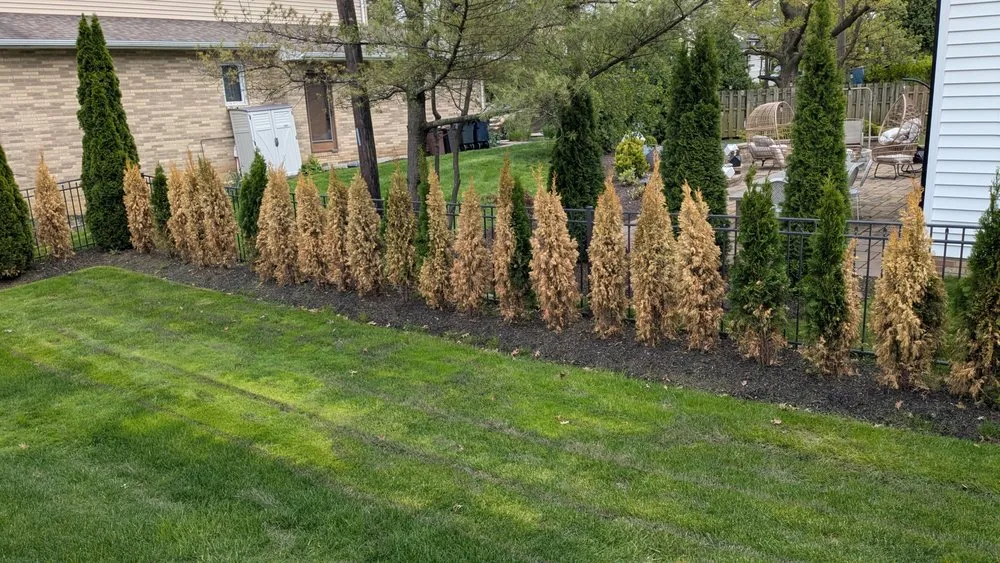 Expert garden landscaping with custom design across Cleveland, OH - Ohio Lawn Solution