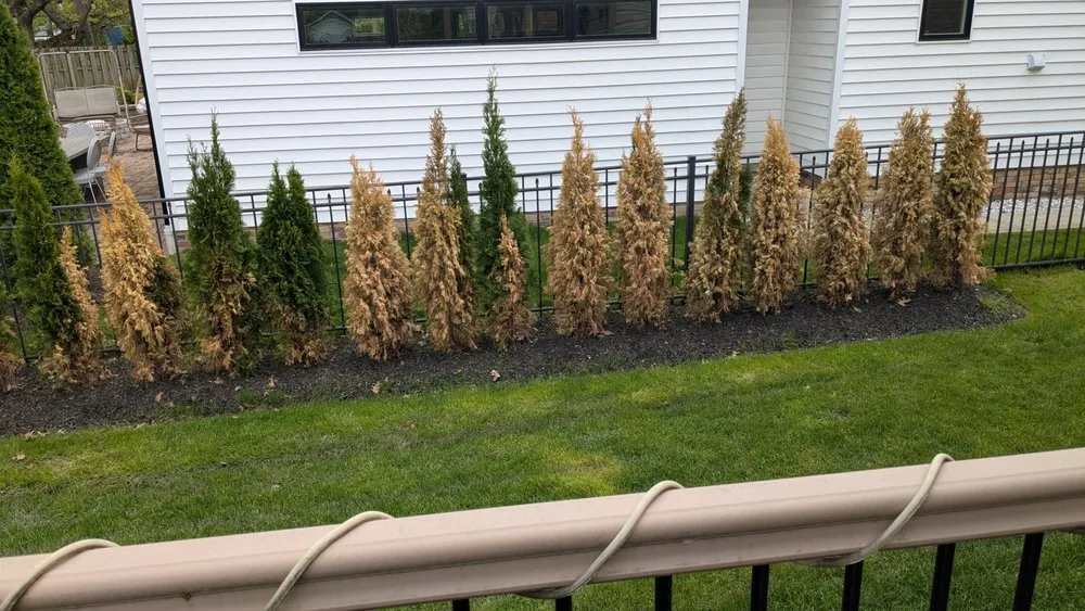 Professional yard maintenance experts serving Cleveland, OH - Ohio Lawn Solution