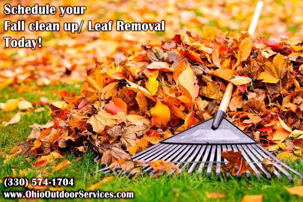 Professional yard cleanup service in Hubbard, OH - Ohio Outdoor Services