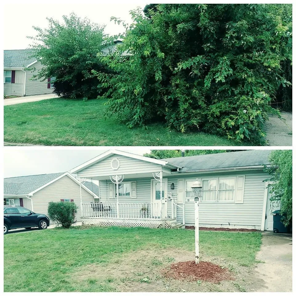 Local residential landscaping for homes across Ashville, OH - Ohio Stump Grinding