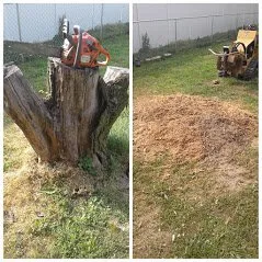 Custom residential landscaping near you in Ashville, OH by Ohio Stump Grinding