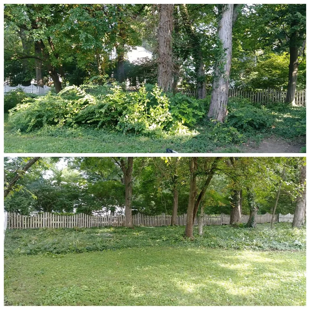 Professional lawn care service for homes across Ashville, OH - Ohio Stump Grinding